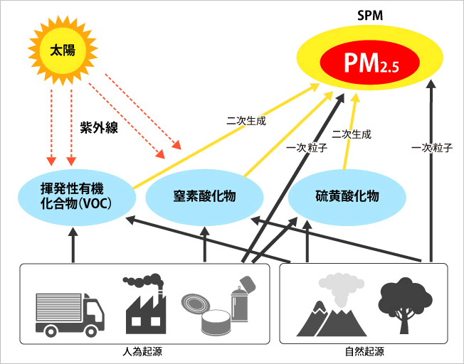 発生のメカニズム